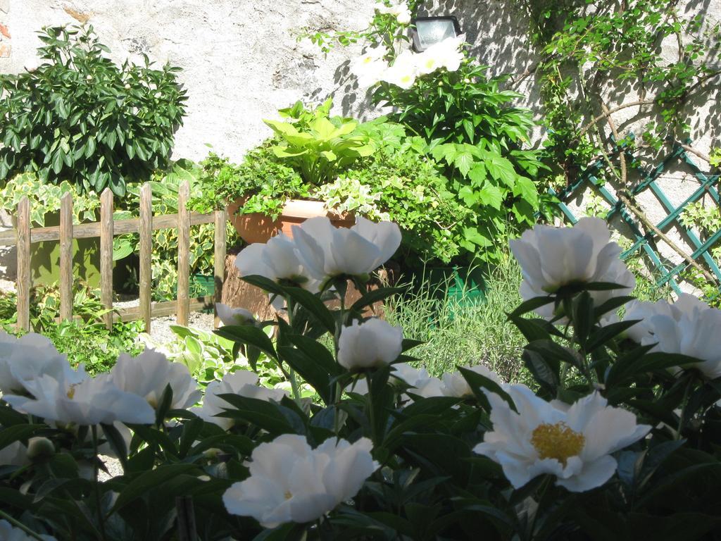 B&B Ristorante Del Monte Colleretto Giacosa Bilik gambar